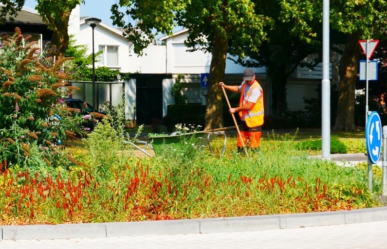 Wij renoveren uw tuin tot een droomtuin