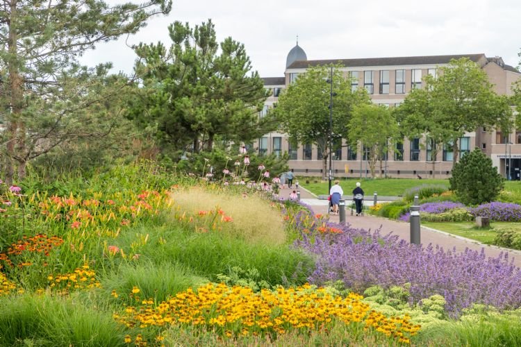 Plantvakken/gemeente groen
