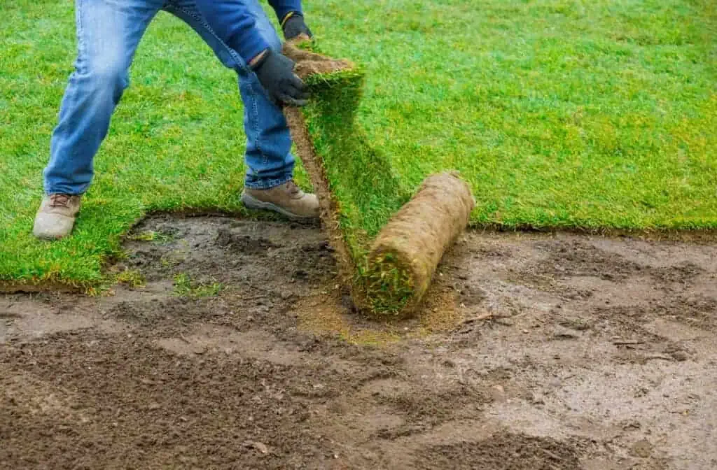 Tuinonderhoud en aanleg